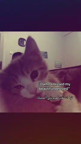 #foryou #explore #foryoupageofficiall #fyp #fyppppppppppppppppppppppp 