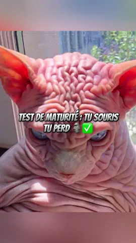 Test de maturité : tu souris, tu perd. #testdematurité #tusouristuperd #humour 