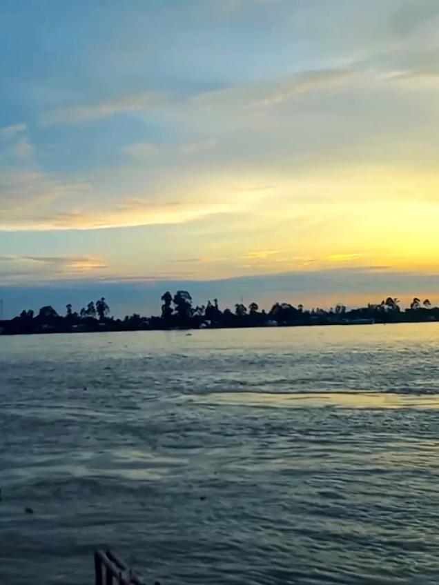 Gió chiều buồn thiu… Kiếp lục bình trôi theo con nước... Còn lòng người vẫn mắc cạn giữa một chuyện tình xưa🍃 #66đồngtháp #mientay #binhyen #chill #hoanghon 