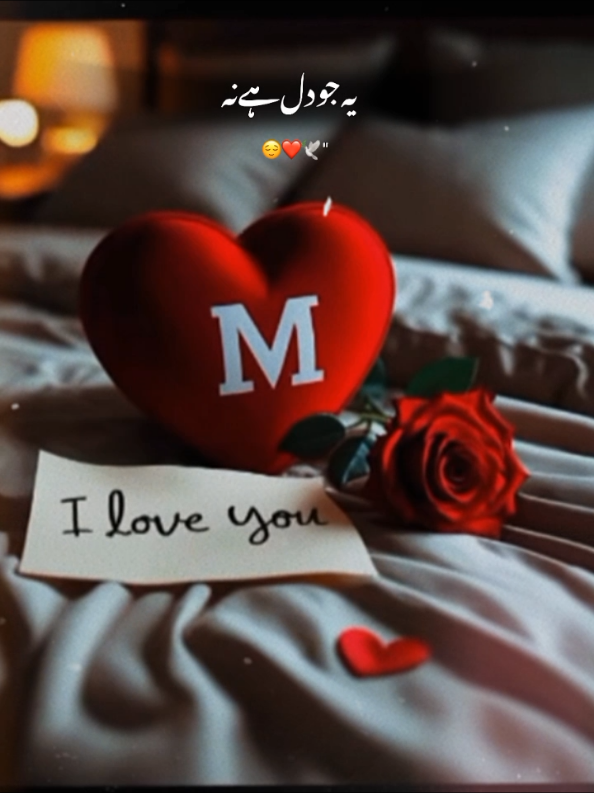 Dil Mehboob Ky Rehny Ke Jagah Hai 🥰❤️🥀🙈  #fyp #foryou #lovelyvibes❤️ #lovepoetry #shahzaibtypist505 