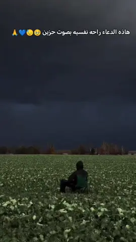 #بذكر__الله__تطمئن_القلوب🥹🙏💚🕊 #لايك_متابعه_اكسبلور_تعليق_مشاركةi🤲💚💙 #حتى_استمر_وياكم_بالنشر🥰💚🤍 #اللهم_سترك_ورحمتك_وعفوك_ورضاك_ومغفرتك #اللهم_صل_على_محمد_وآل_محمد 