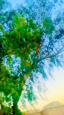 foryou pppppppppp #♥️♥️♥️💯❤️ #♥️♥️♥️💯❤️ @• ᴀʟɪ ᴊᴀɴ • @Haris Junejo @Muhammad Memon @Gul Dhalet @Shazib☠️ @waseem Khan Sukkur @🥀BHUTTo💫FaHaD💫 @Arshadpeerzado @📸SOJIB 📷Vai 📸 @Abdullah☣✔️ @Gham_e_ Zindagi 🩶🥀 @@ _LaLa _Awais @💸O_ MISTER_💸 