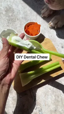 DIY dental chew recipe 👇 🦷 spread nonfat plain greek yogurt onto celery  🦷 top with GutWell Clean breath to address bad breath & dental disease from the inside.  🦷 add carrots  🦷 freeze to make last longer or give as is.  #doghealth #dogenrichment 