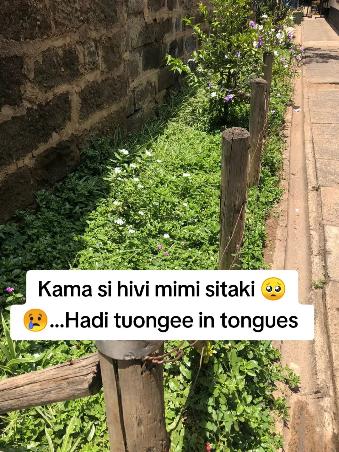 Nimewaambia mapema #kenyantiktok🇰🇪 #kenya #viral #fypシ゚ 