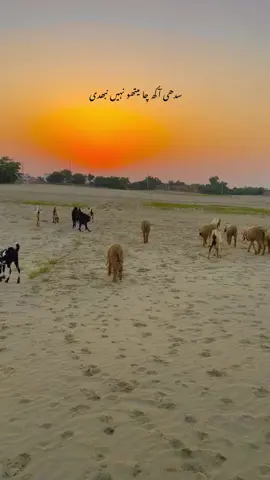 #nature #peace #vibes #sakoon #fyp 