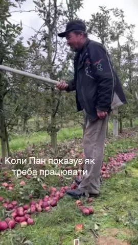 #пріколи яблука 2025🍎🍏🍎