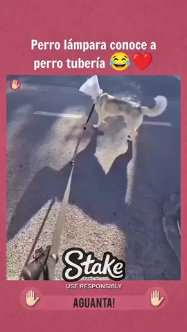 😂😂🥰❤️