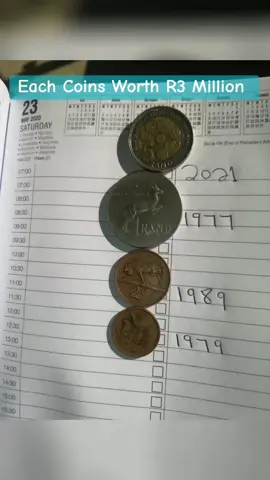 #southafricatiktok #southafricainvestment #capetown #kwazulunatal #fypviral 