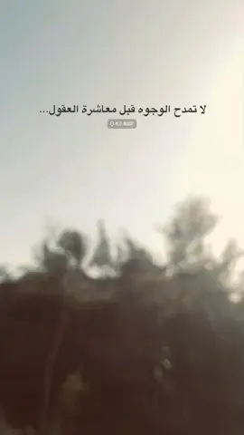 متابعه للحساب 🤍#شعر #سمير_صبيح #جبار_رشيد #explore 