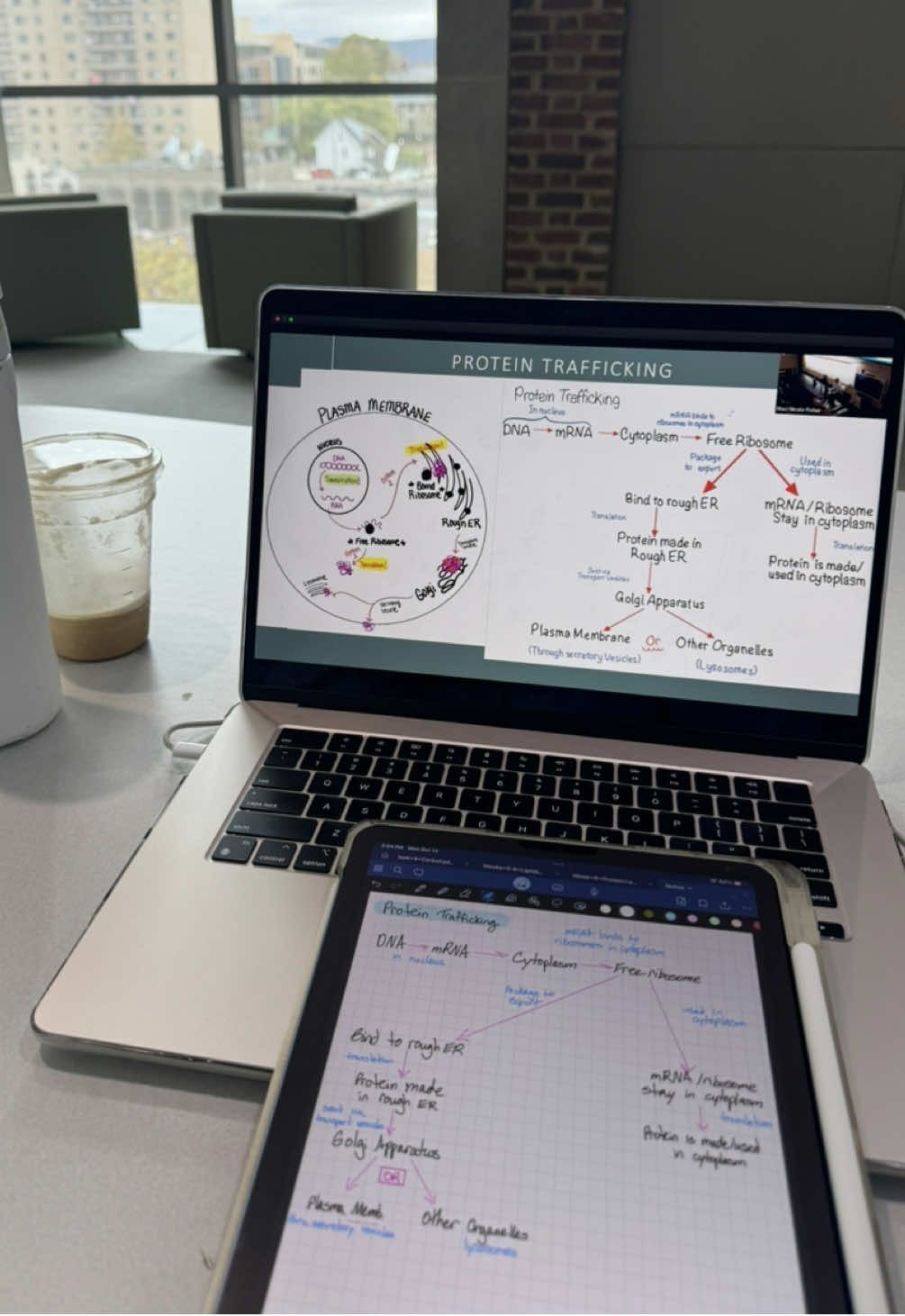 and the exams are always day after day 🥲 #collegelife #collegegotmelike #studying #collegestudent #pennstate @Penn State University 