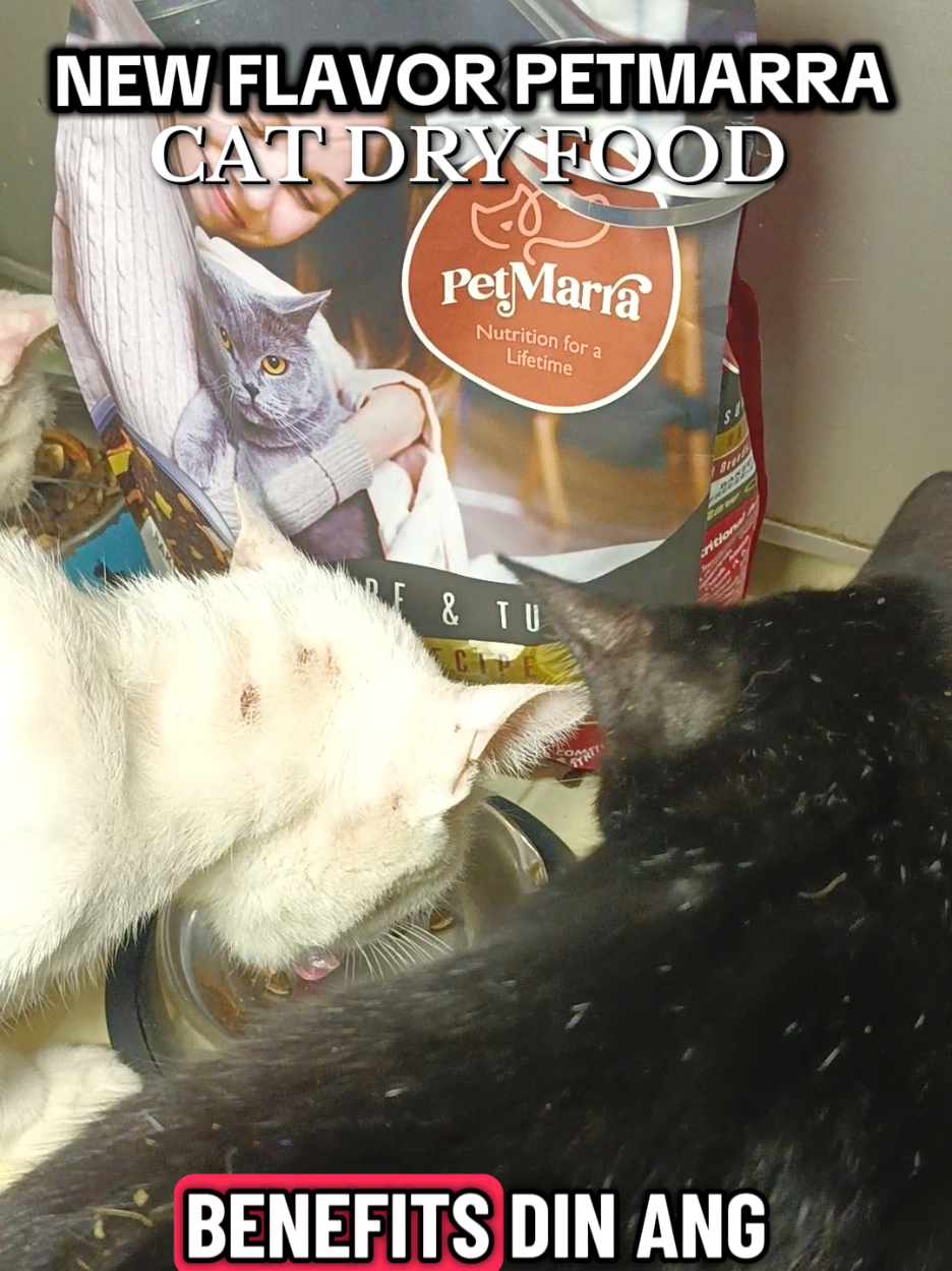 NEW FLAVOR PETMARRA SURF AND TURF #catsupplies #catsanddogs #petmarracatfood #catdryfood #dryfood 
