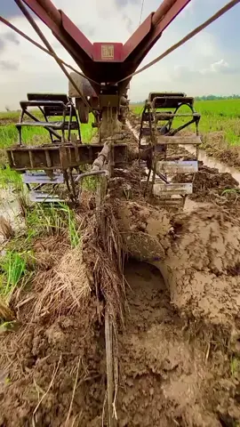 Suwon najan mong ngapusi...