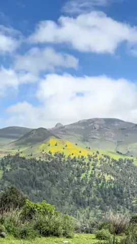 Bale mountains national park #balemountain_national_park @Visit Oromia 