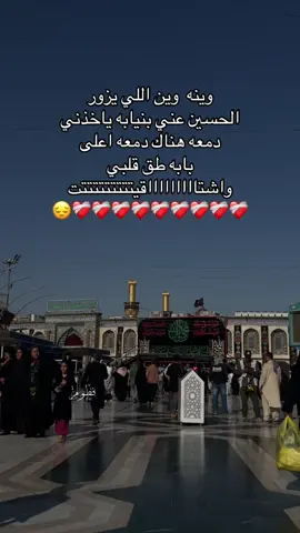 وينه اللي يزور حسين عني بنيابه#ياحسين #يااباعبدالله_الحسين #كربلاء #شيعة_علي_الكرار #علي_بن_ابي_طالب 