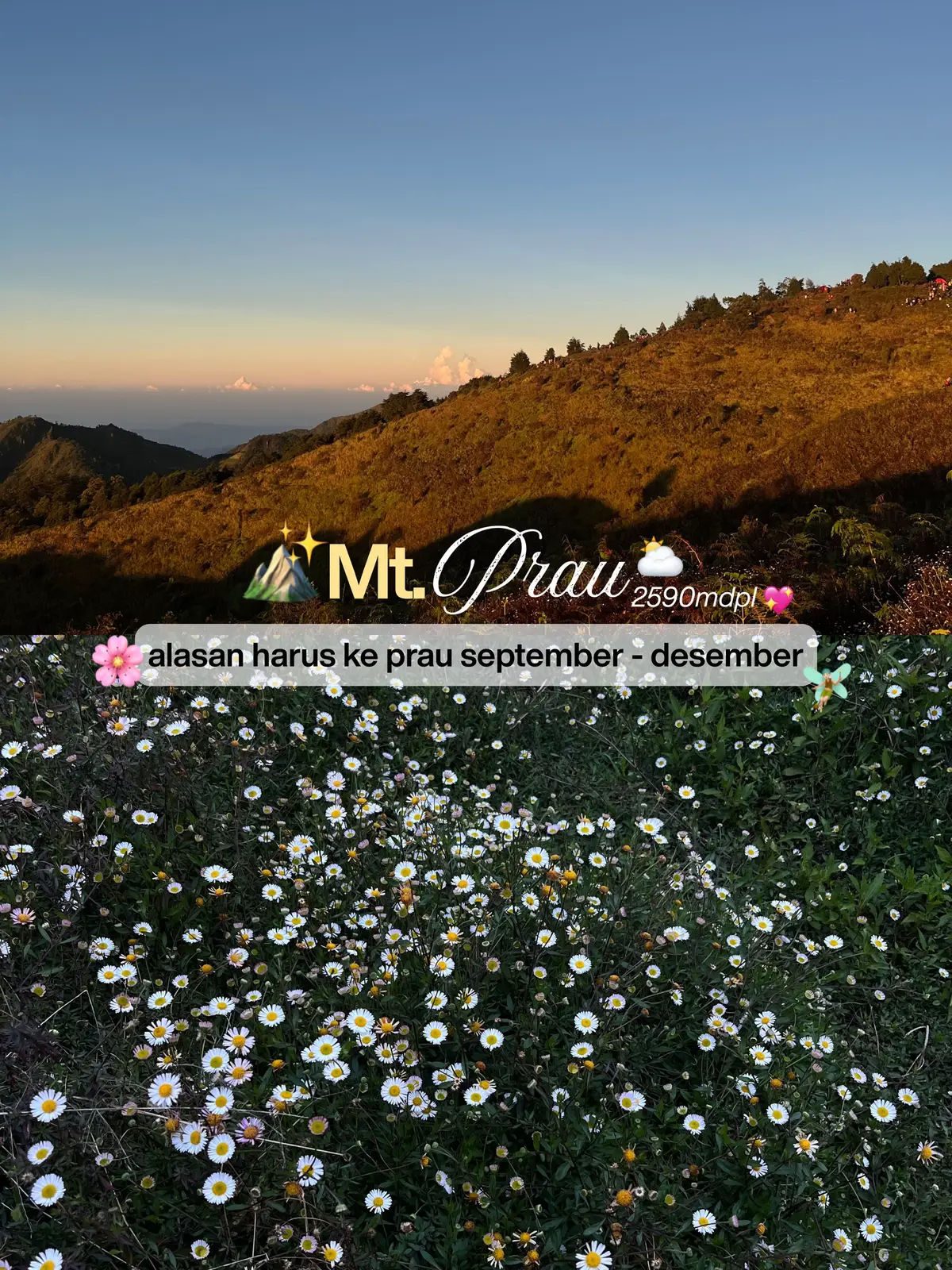 kayaknya ga cukup sekali sih kalo ke prau, bonusnya banyak bangett, makasi Tuhan🤩  #prau #gunungprau #pendakigunung #gunungpemula #fypシ゚ 