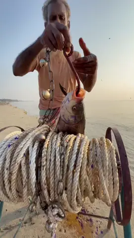 Tips for catching big fish in the amazon river 👍🦈#fishing #amazon #monster #viral 