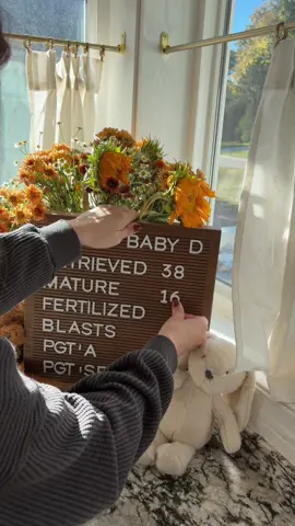 I’m not really sure how I’m feeling. It’s such mixed emotions for these results. I’m so grateful we have 11 that made it so far however the drop off is a tough pill to swallow. #ivfjourney #ivfcommunity #eggretrieval #ttccommunity 