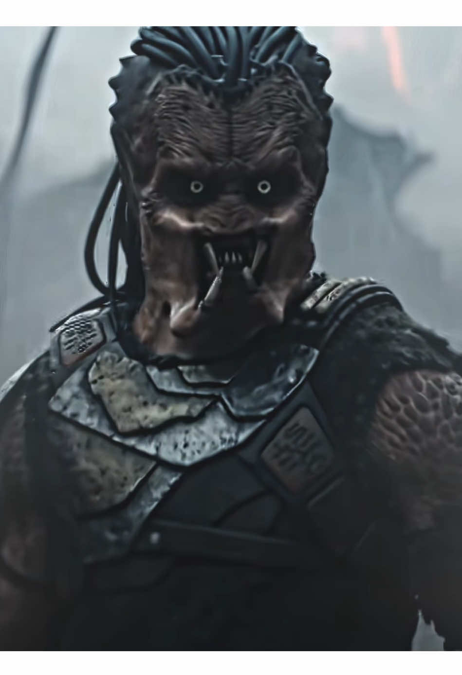 Predator VS Alien: This Predator is really so cool!☠️☠️#fyp #edit #edits #movie #foryoupage #predator 