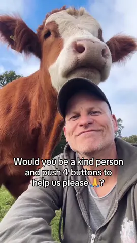 Would you be a kind person and push 4 buttons to help us please 🙏? #horserescue #vetbills #horsesoftiktok #horselover #AnimalRescue 