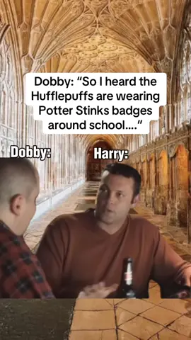 Dobby please just let it be… #gobletoffire #triwizardtournament #triwizardchampion #harrypottertiktok #itsleviosanotleviosa #expectopatronum #patronuscharm #avadakedavra #yuleball #malfoymanor #harryronandhermione 