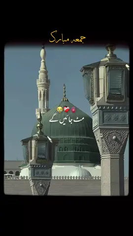 Aap ke Bin Ya Nabi Mera Koi Sahara Nhi Ha 😭❤️‍🩹 Read Durood e Pak ﷺ ✨  it's Friday status/ Naat 🤍🕊️ #fypviraltiktok #unfreezemyaccoun #foryoupage❤️❤️ #madina #foryouu 