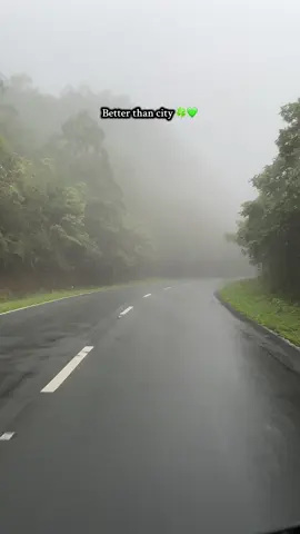Better than the city 💚🍀 zero visibilty grabiiiiiiii 🥹🥹 pero kay ganda 🫶🏻💗 #mountain #nature #zerovisibility #coldweather #roadtrip 