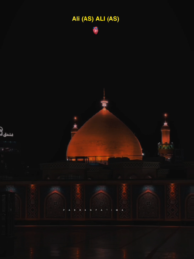 علی علی مولا 🌸😩❤️🫀##yaali #shiastautus #foryoupage #ali_wali_hu #growmyaccount 