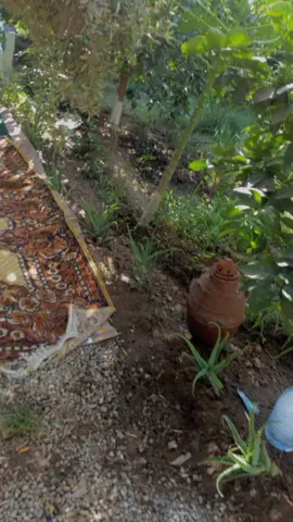 ###تصميم_فيديوهات🎶🎤🎬 #tiktokberita #foryou #foryoupage #motivation 