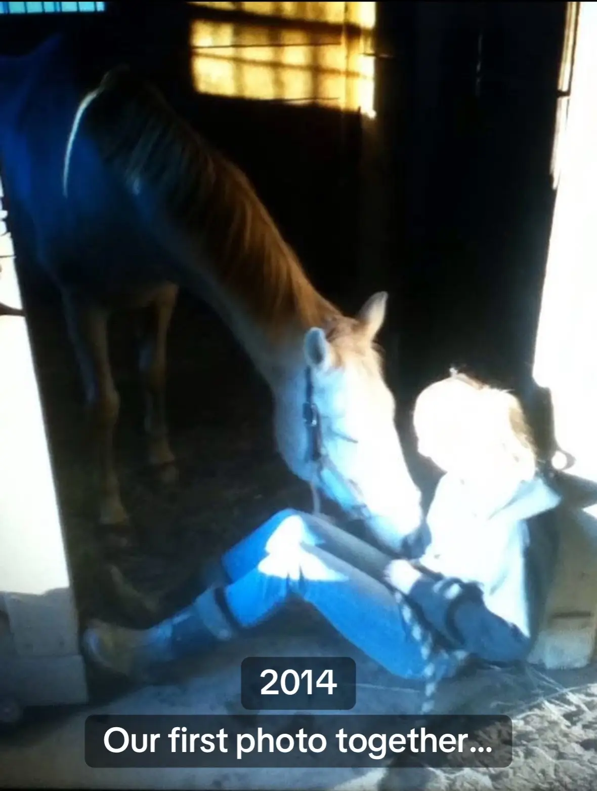 My heart horse forever. I miss you everyday 💙🩵