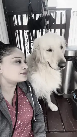 I Love this puppy so much 🥰🥰🥰