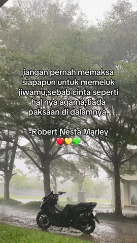 #yoman #bobmarley #namoybudaya🍀🇧🇴 #reggae #rastafari 