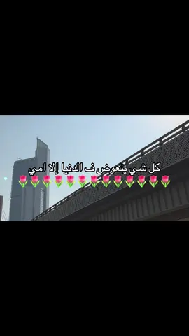 #bdtiktokofficial #capcutvelocity #CapCut #foryourpage 