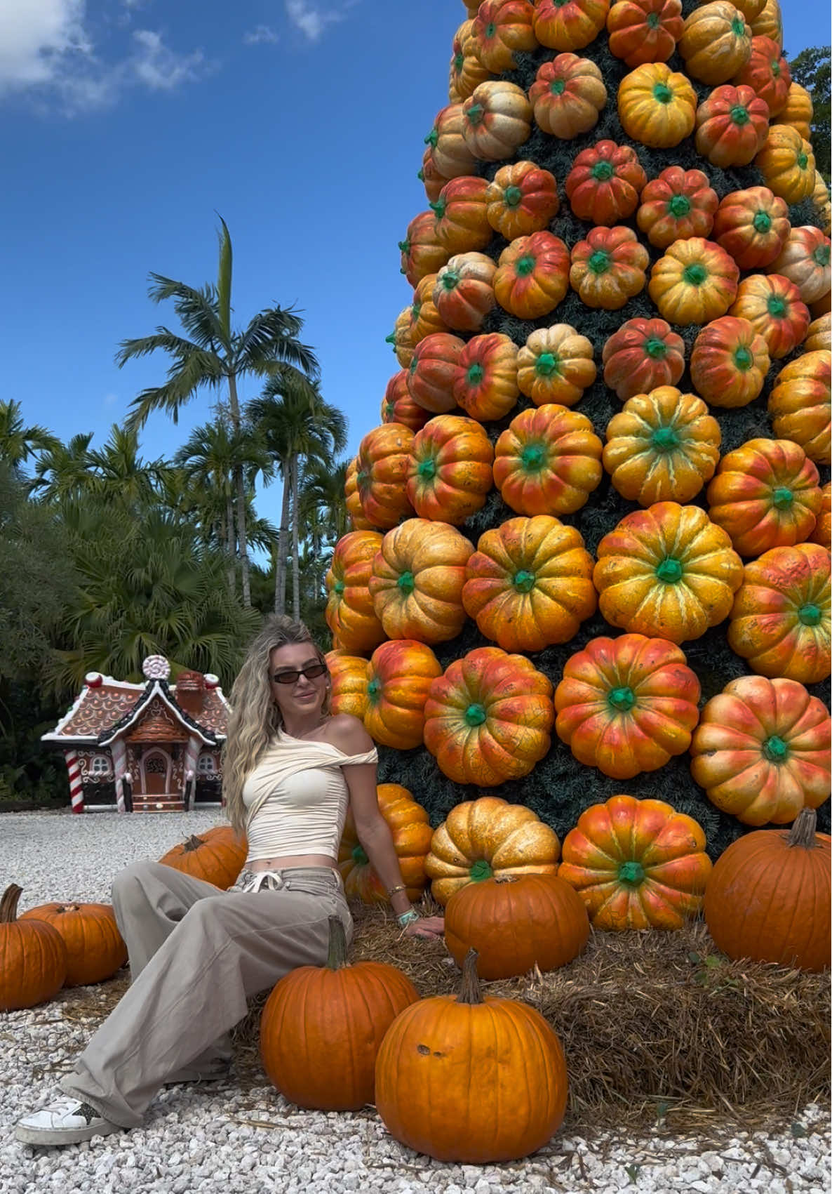 No fall in Miami but at least this pumpkin patch understood the assignment 🎃🍂🍁🍃 #pumpkinpatch #fall #autumn #miami #miamipumpkinpatch 