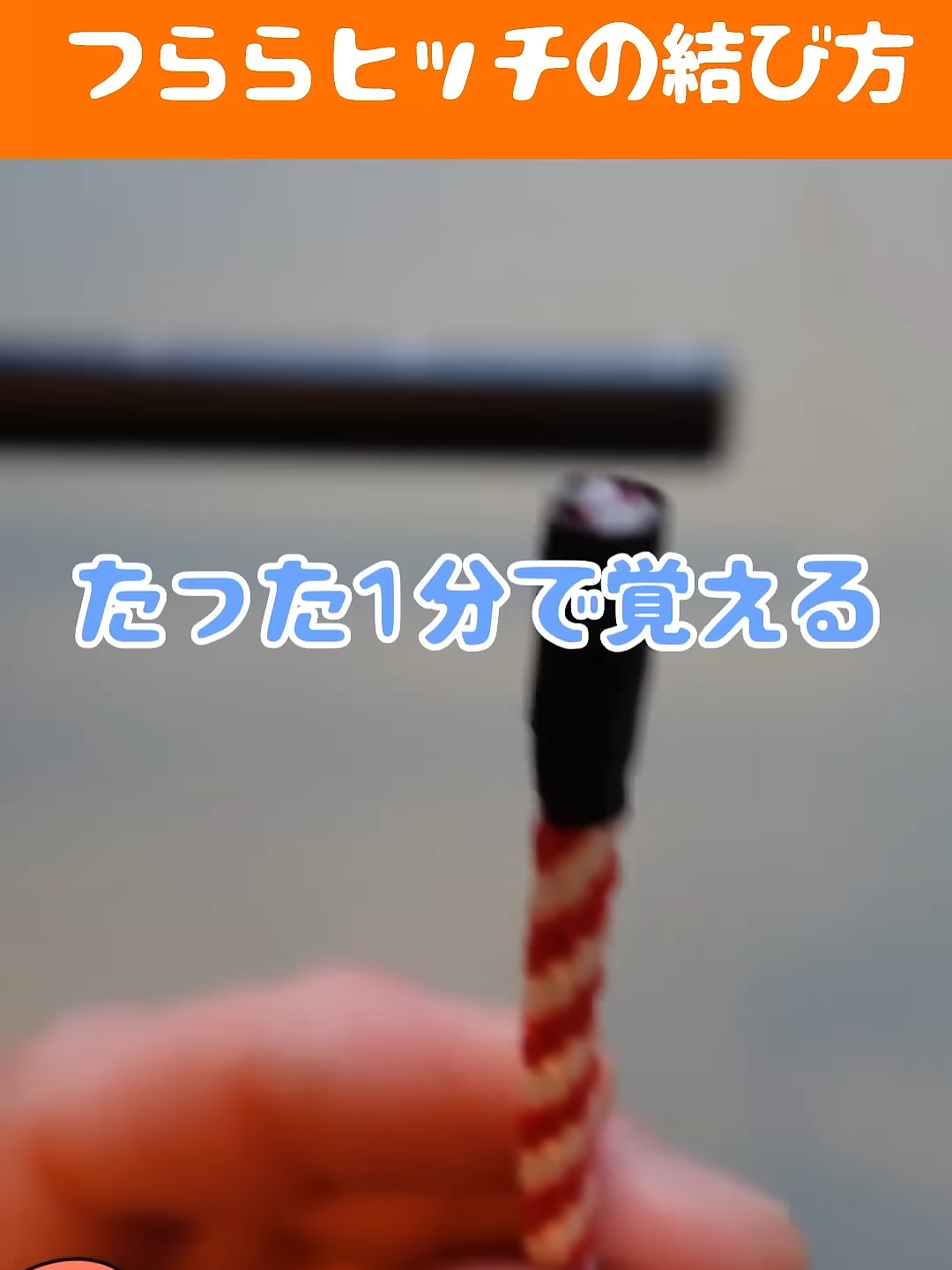 枝や木に結ぶつららヒッチ shorts life rope diy