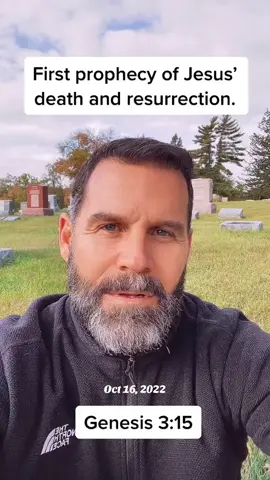 #genesis #prophecy #christiantiktok #christian #fypage 