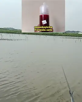 #mancingkey #essenkey 