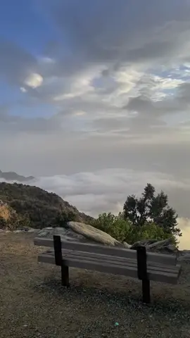 شمس الغروب. 🖤#محمد_بن_فطيس_المري #اكسبلورexplore #CapCut #fyppppppppppppppppppppppp #videoviral 