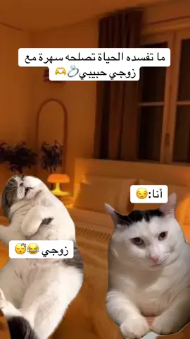 #CapCut #الشعب_الصيني_ماله_حل😂😂🙈 #تصميمي #تكتوك #meme 