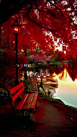 haly Dil howa asa dard ki lahar jsa#song #songromantic #foryou #foryoupagе #standwithkashmir #magicanimation #viral #fyp 