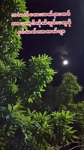 #မြန်မာသံစဉ်ချစ်မြတ်နိုးသူများထံသို့❤️ #ရောက်ပါစေ #အားပေးကြတဲ့တစ်ယောက်ဆီတိုင်းကိုကျေးဇူးတင်ပါတယ်❤️ 