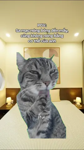 Rất nóng bỏng 🔥 #viral #fpy #homestay #foryou #staycation 