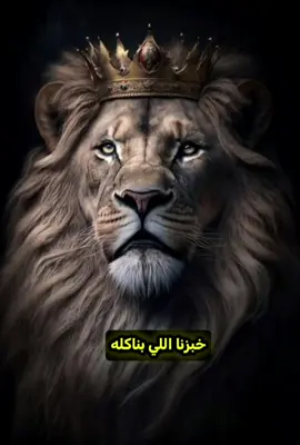 #تصميم_فيديوهات #الصقر #السوفي #🦅✌ 