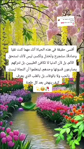 الرد على @mustafa4g4 #عبارااااااات🥀_خوااااااااطر 🥀#سودانيز_تيك_توك_مشاهير_السودان🇸🇩 