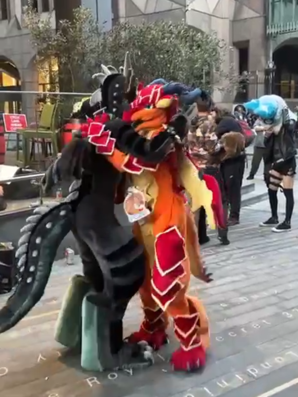 Peril met a NightWing at LondonFurs!! It was a great time, I had so much fun :3 #wingsoffirefursuit #wof #dragon #furry #fursuit 