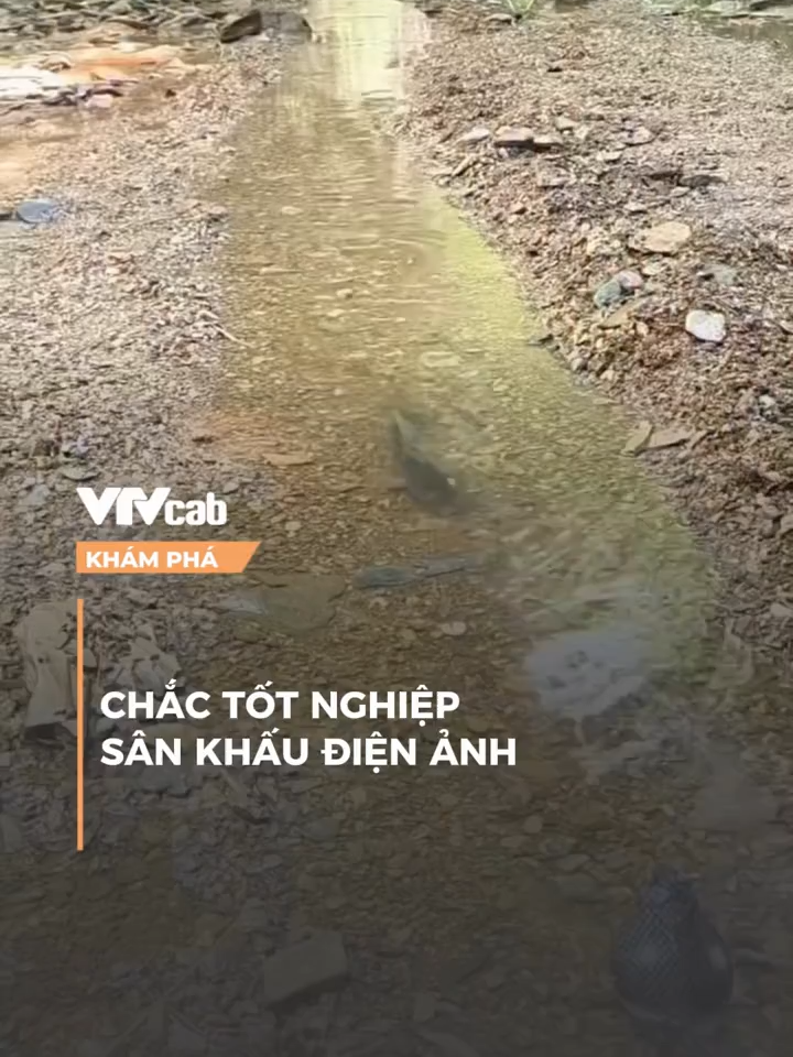Chắc tốt nghiệp sân khấu điện ảnh #vtvcab #khampha #onlive #NDH