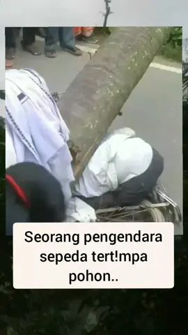 #fypreels #reelsviral #fypviral #reelstrending #jangkauanluas 