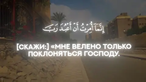 𝐂𝐚𝐥𝐦 𝐲𝐨𝐮𝐫 𝐡𝐞𝐚𝐫𝐭, 𝐢𝐭'𝐬 𝐭𝐡𝐞 𝐊𝐨𝐫𝐚𝐧. 𝐑𝐞𝐚𝐝𝐞𝐫: 𝐌𝐮𝐡𝐚𝐦𝐦𝐚𝐝 𝐀𝐥 𝐋𝐮𝐡𝐚𝐢𝐝𝐚𝐧  #коран #ислам_религия_мира_добра #nasheeds #религия #люхайдан 