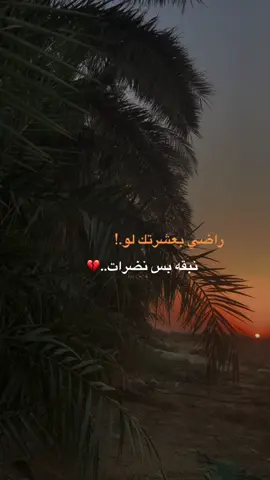 #عباراتكم💔💔؟ #تصويري_احترافي_الاجواء👌🏻🕊😴 #تصويري📸اكسبلوور #محمد_نزار 