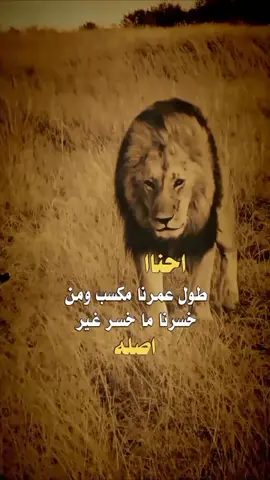 #عبارات ✋👌 #اكسبلور 