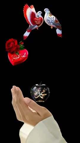 #اللهم_صل_وسلم_على_نبينا_محمد #اللهم_صل_وسلم_وبارك_على_نبينا_محمد  #اللهم #امین_یارب_العالمیــــــــــن  #🤲🤲🤲 